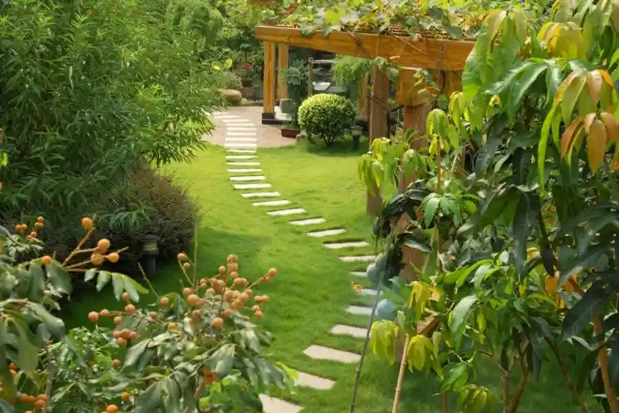 Reliable Landscape Contractor in Sierra Vista, AZ