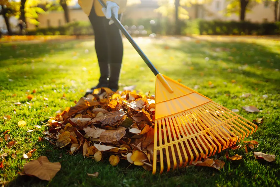 Expert Yard Maintenance Sierra Vista, AZ Expert Yard Maintenance Sierra Vista, AZ
