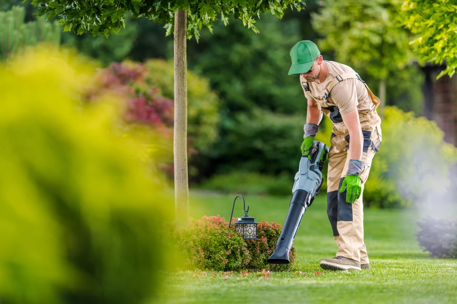 How To Keep Your Yard Looking Great All Year Long in Sierra Vista, AZ