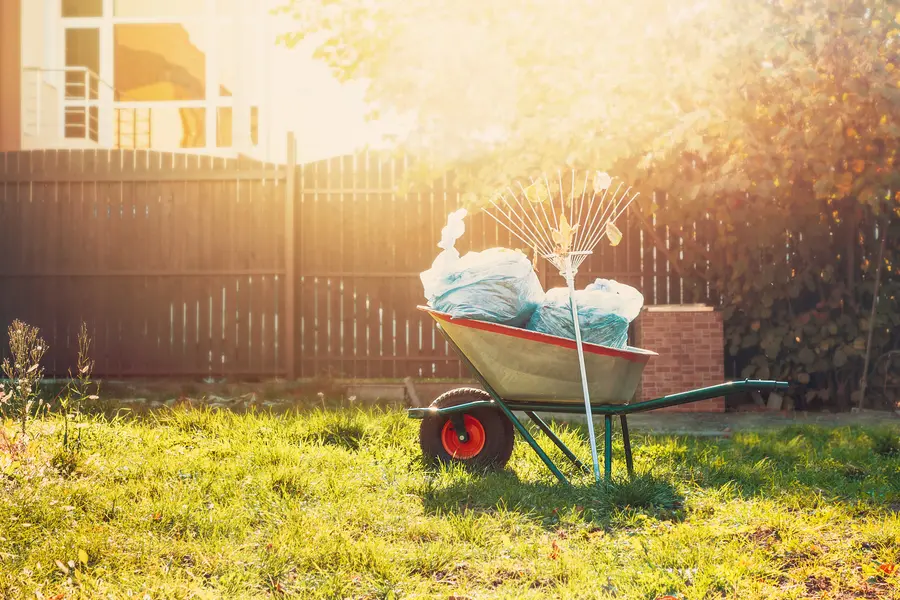 How Yard Cleanup Improves The Health Of Your Landscape in Sierra Vista, AZ