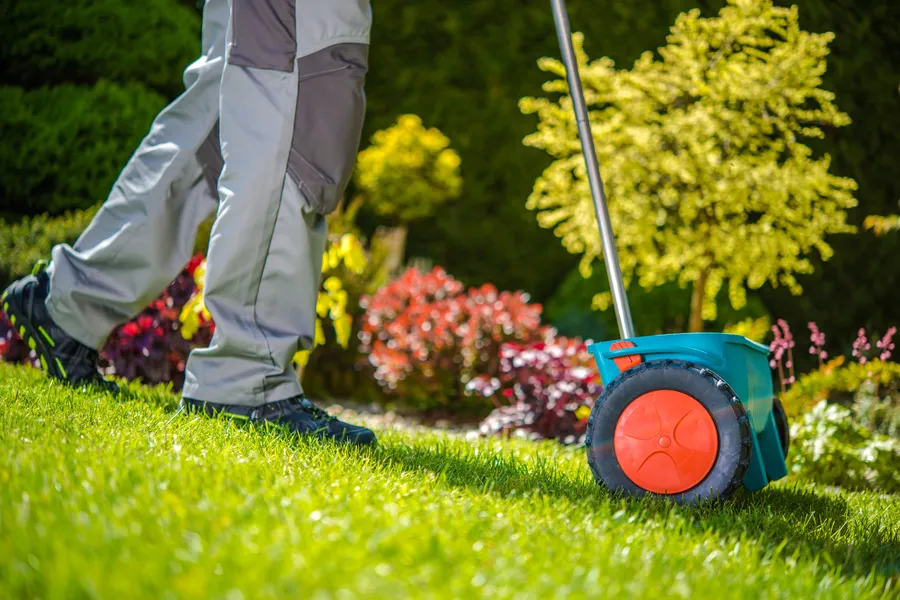 Local Yard Maintenance Sierra Vista, AZ Local Yard Maintenance Sierra Vista, AZ