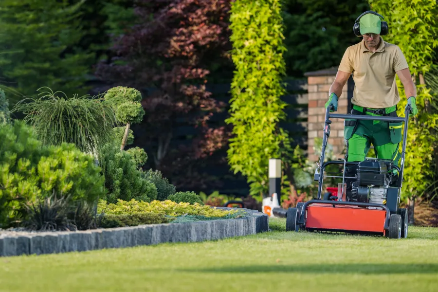Why Consistent Yard Maintenance Enhances Curb Appeal Sierra Vista, AZ